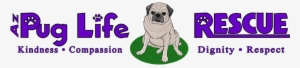 Arizona Pug Life Rescue Society - Blaue Pfote #3830431