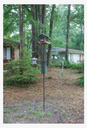 A Baffle Should Help Keep Squirrels Away From Your - Tree #3830453