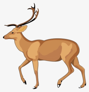 Free Deer Clip Art - Debden Park High School #3830928