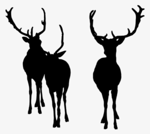 Deer Bucks Deersilhouette Silhouette - Elk #3831084