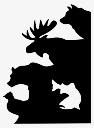 Kenai Wildlife Cabins - Kenai Wildlife Cabins & Fishing Guide Service #3831297