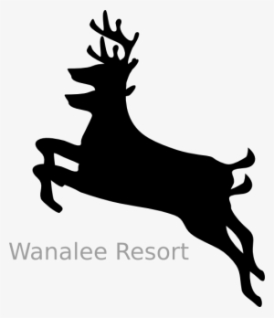 Deer Png - Deer Clip Art #3831500
