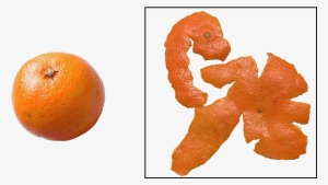 Mandarines - Real Life Sphere Objects #3831850