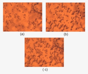 Test Images Acquired From Metallic Samples - Aperture #3831855