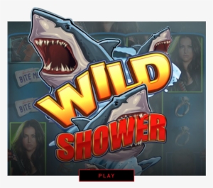 Wild Showers - Pc Game #3833036
