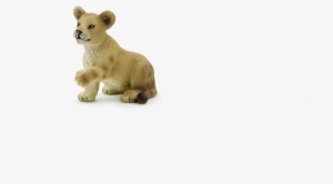 Mojo Lion Cub Playing #3833671