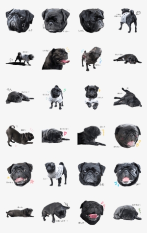 Black Pug Anko Stamp - Pug #3834287