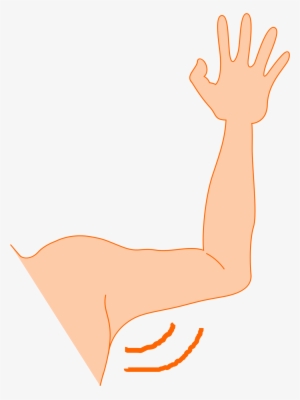 Left - Armpit Clipart #3834769