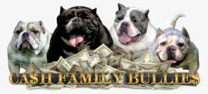 Cash Family Bullies - Start A Successful Business Without Money And Enjoy #3835084