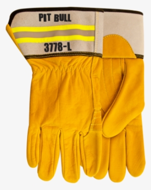 3778 Pit Bull - Water #3835155