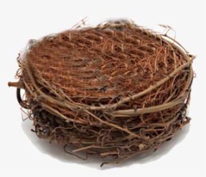 Tips To Help You Fly Through Empty Nest Syndrome Dr - Retirement Account #3835885
