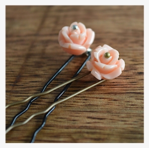 Garden Roses #3836732