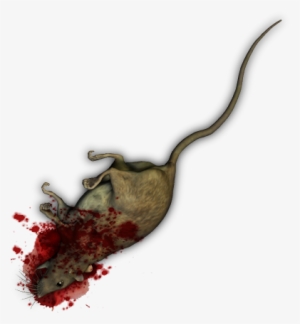 I Just Stumbled Across This Topic Again Which I Had - Dundjinni Corpse Animal #3837320