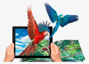 The Very Hungry Caterpillar Ar - Augmented Reality App Hot #3839154