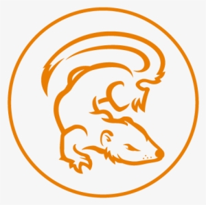 Mongodb #3839338