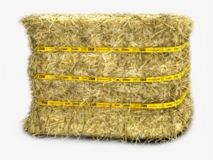 Standlee Straw Certified Compressed Bale #3839875