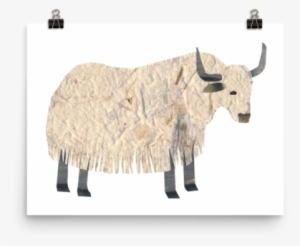 Domestic Yak #3839949