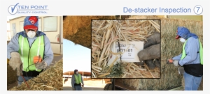 He Will Remove Any With Contamination - Hay #3840095