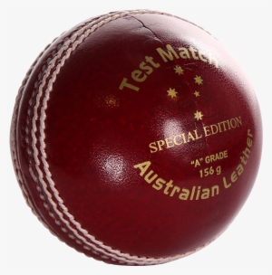 Cricket #3840470