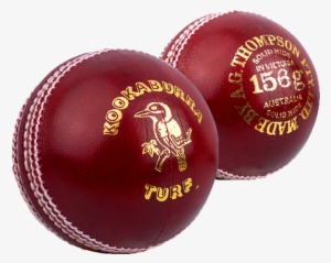 Cricket Balls - Kookaburra Cricket Ball #3840499