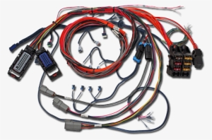 Infinity Ecu - Electrical Wiring #3840667