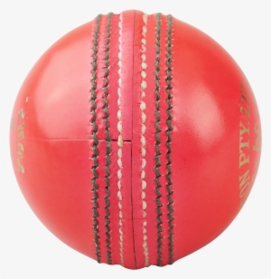 Cricket #3840764
