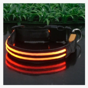 A1 - Sassy Dog Wear 16-28-inch Double-line Led Flashing #3841913