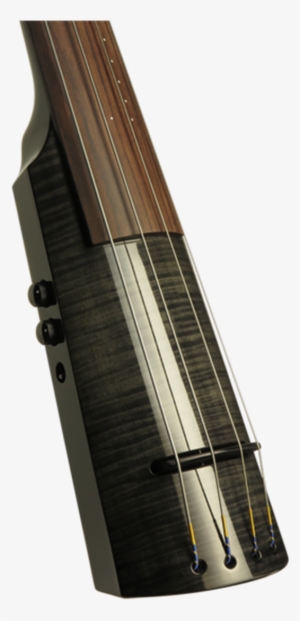 Zoom - Ns Design Wav5 Double Bass - Transparent Red Guitar #3842051