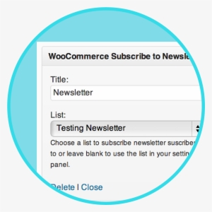Sozot For Woocommerce • Newsletter Subscription Extension - Infographic #3843099