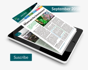 Apple Ipad Family #3843135