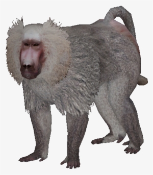 New Baboon - Zoo Tycoon 2 Hamadryas Baboon #3843500