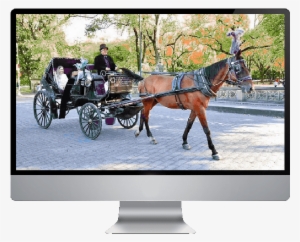 Central Park Horse & Carriage - Horse And Buggy #3843521