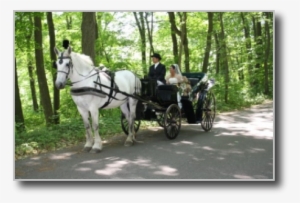 Burgundy Interior Vis A Vis Carriages - Horse And Buggy #3844001