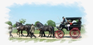 Were Generally Used As Utility Vehicles, Driven By - Horse And Buggy #3844085