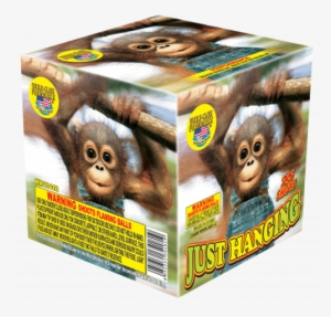 Just Hanging - Just Hanging Firework #3844188