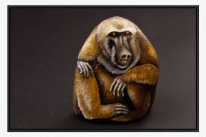 Baboon - Punxsutawney Phil #3844426