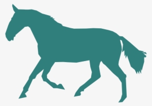 Gaited Horse - Horse Png #3844427 Gaited Horse - Horse Png #3844427