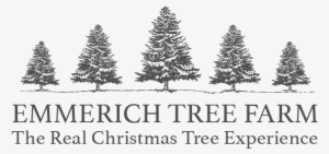 Christmas Tree #3844522 Christmas Tree #3844522