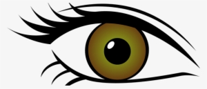 Optical Clipart Contact Lense - Eye Clipart Transparent Background #3845518