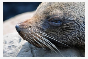 Bristol Zoo #3845564