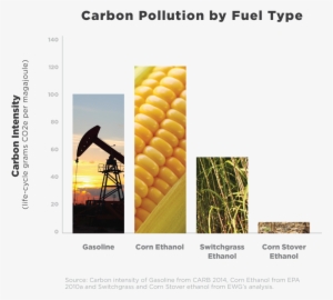 It's Time We Change Direction, Get Rid Of The Corn #3845591