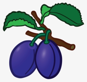 , , - Plum Clipart Png #3845786