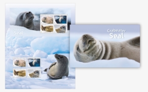 Stamp Pack Stamp Pack - Crabeater Seal #3845934
