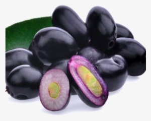 Fresh Plum Best 2018 Selling Plums - Java Plum #3845940