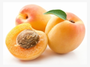 1318 Abbirose1992 Fd4b85c4 C92e 47c2 9da8 Aa387fb41ad7 - Fruits Apricot #3846313