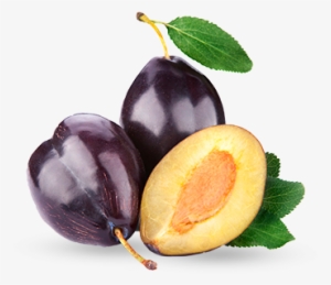 Plum - Слива В Пнг #3846478