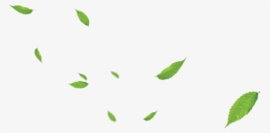 Daun - Png Daun - Daun Png Hd - Free Transparent PNG Download - PNGkey