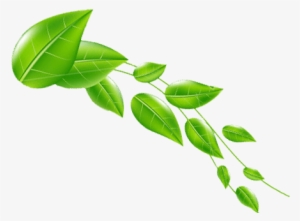 Daun 4 Header - Daun 4 Header Png #3847261