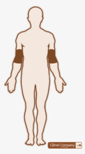 Camel Heal Joint Support - Camel #3847285 Camel Heal Joint Support - Camel #3847285