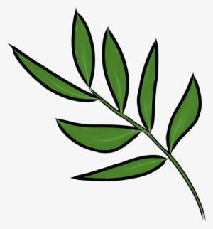 Daun Kesum - Vietnamese Coriander #3847649